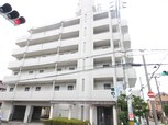 グレースパレマエダ（507）