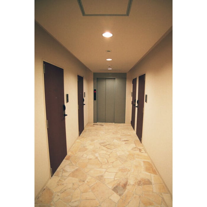 その他 Ｍｓ　ｐａｌａｚｚＯ