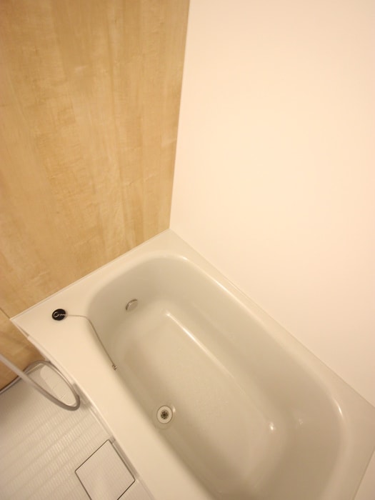 バス／シャワールーム等 デスパシオ