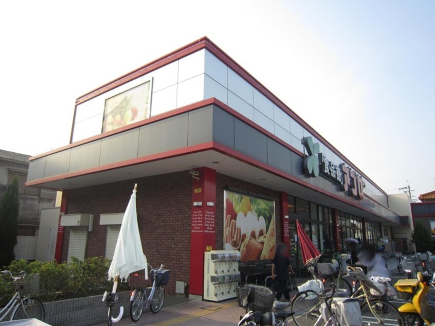 食品館アプロ　松原店(スーパー)まで290m シャーメゾン ニーム