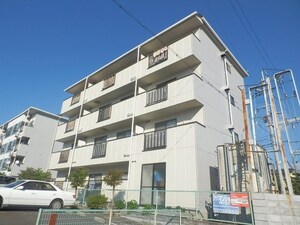 ステラカーサⅢ