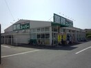 業務スーパー 加古川店(スーパー)まで650m パンドール加古川