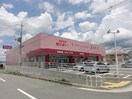 ドラックコスモス水谷店(ドラッグストア)まで550m イエロ－ヒルズＤ棟