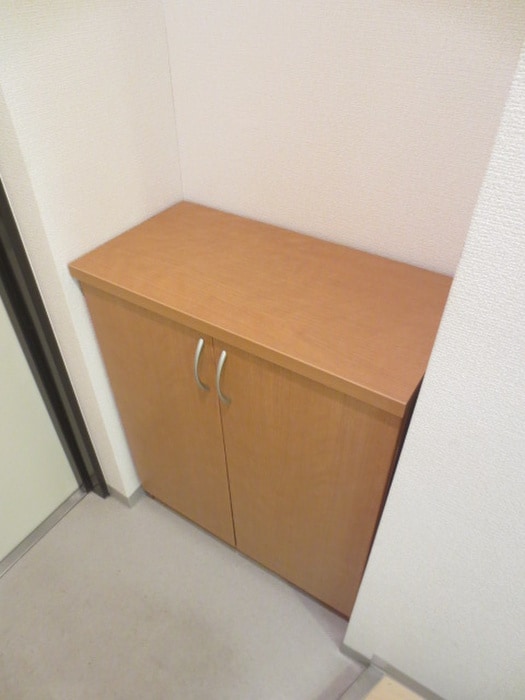 靴箱 ロ－タスコ－ト