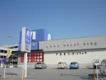 アルカ(ドラッグストア)まで555m ポラリス壱番館