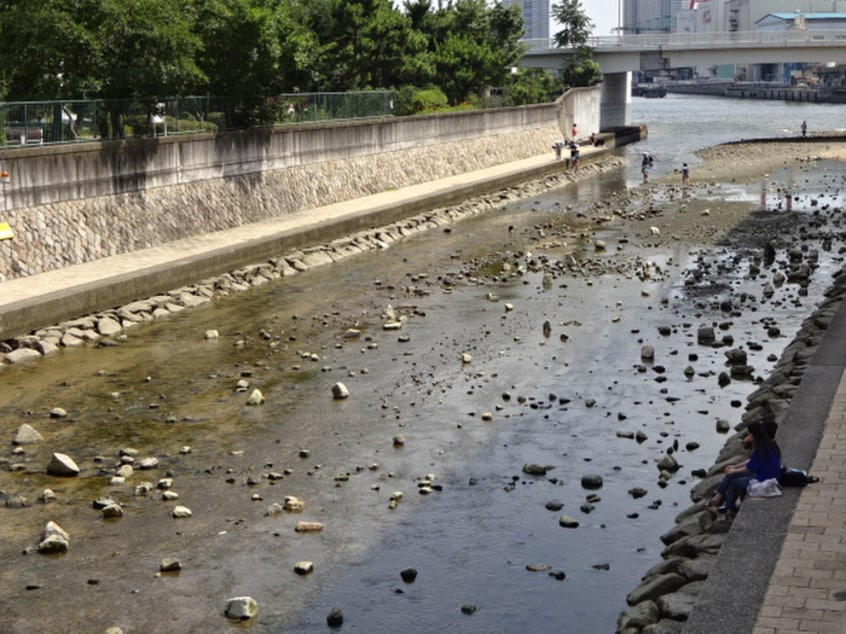 住吉川公園(公園)まで650m グリ－ンテラス住吉
