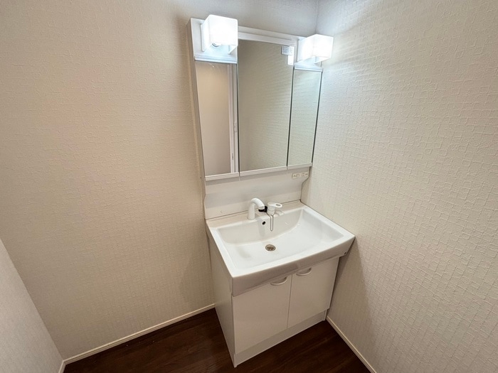 洗面 Ｍａｉｓｏｎ　Ｐｌａｉｎｅ