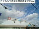 ウエルシア堺新金岡店(ドラッグストア)まで230m ヴィラ・フィ－ルド蔵前