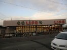 ライフ牧野店(スーパー)まで544m サングランデ２ｎｄ