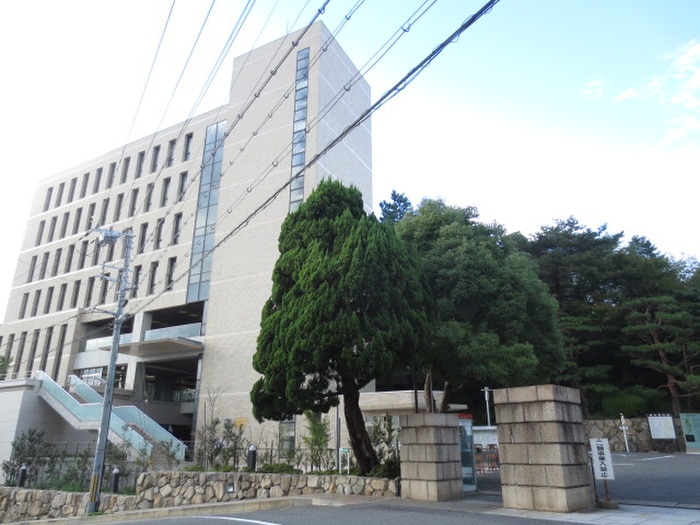 神戸大学(大学/短大/専門学校)まで1200m カーサ・デ・ロッコウ