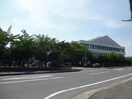 東海大学附属仰星高等学校(高等学校/高等専門学校)まで717m 伸和マンション