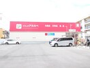 アカカベ中川店(ドラッグストア)まで208m シティ中川