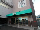 ニトリ 寝屋川店(電気量販店/ホームセンター)まで2400m ダンディ－シャト－