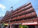 コスモプラザ三宮(521)