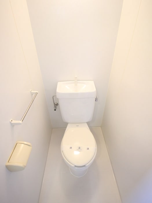 トイレ カ－サパスコロ