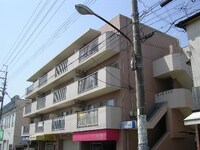 ﾛｰｽﾞﾊｲﾂ
