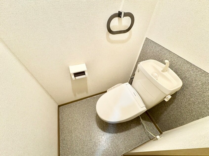 トイレ デリアス