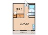 スカイハイツ 1LDKの間取り