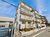シロハイヌ武庫元町