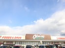 オークワ 貝塚三ツ松店(スーパー)まで1900m ヴュ－コ－ト