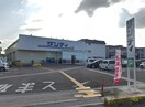 サンディ二色の浜店(スーパー)まで600m 森田マンションⅡ