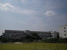 寝屋川市立啓明小学校(小学校)まで260m ラルゴ旭町