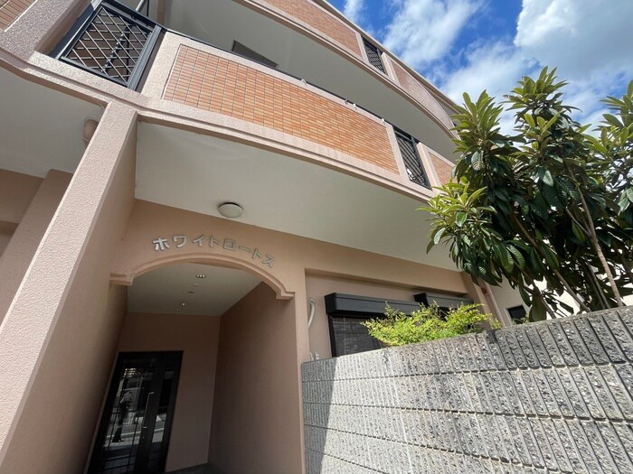 外観写真 ホワイトロ－トス