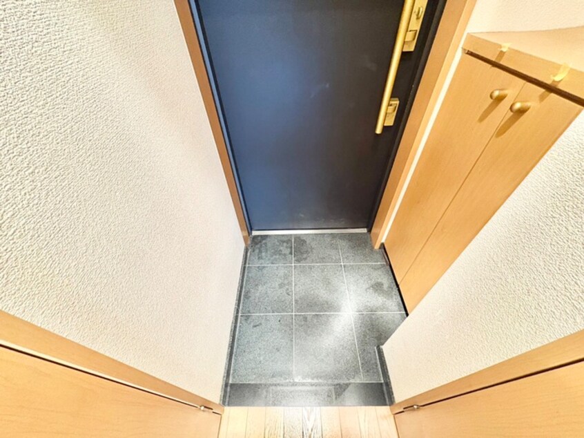 玄関 ｼﾞｭﾈｰｾﾞ梅田北ﾌﾟﾗｳﾃﾞｨｱ(206)