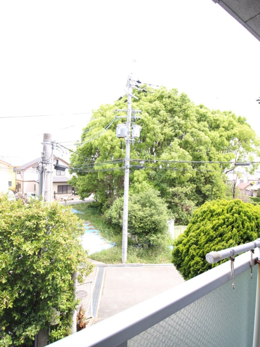 室内からの展望 ﾋﾞｰﾅｽﾑｰﾝ