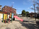 三条公園(公園)まで70m セジュール芦屋川