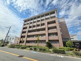 大井路