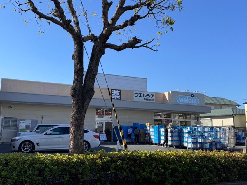 ウエルシア(ドラッグストア)まで500m シティメイト芦屋