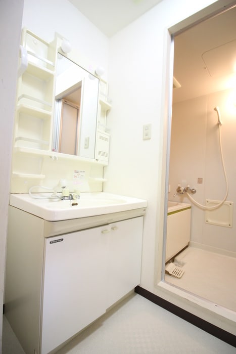 洗面 ナーシサス法橋