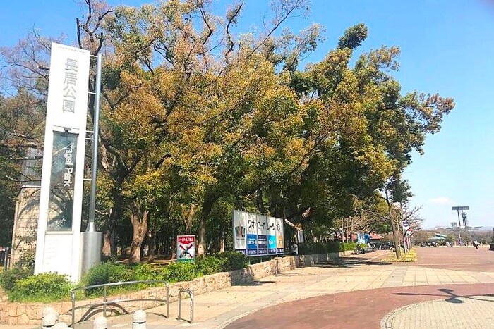 長居公園(公園)まで300m グローパレス鷹合