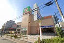 ライフ(スーパー)まで500m エグゼ天王寺Ⅱ(502)