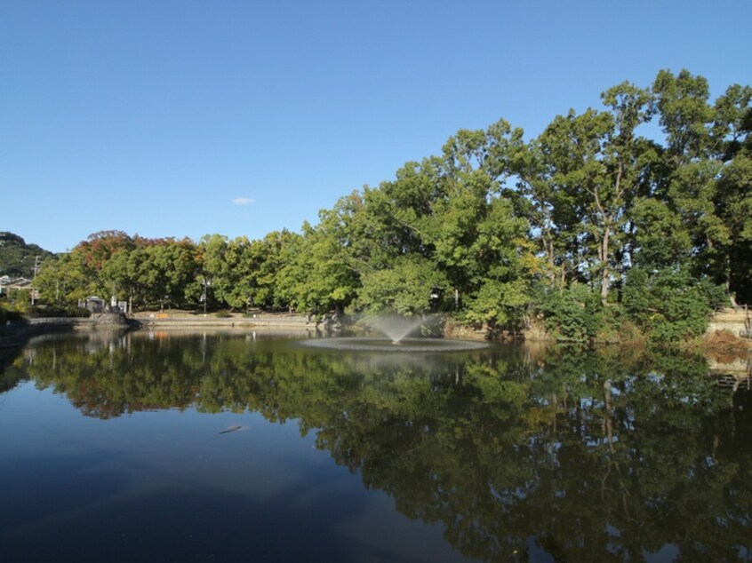 唐池公園(公園)まで130m 唐池ハイツ