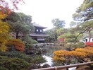 銀閣寺(公園)まで230m ｳﾞｫｰﾇﾝｸﾞ哲学の道