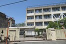 東大阪市立上四条小学校(小学校)まで290m ハルノテラス