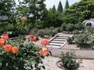 片山公園(公園)まで250m 吹田野村ハイツ