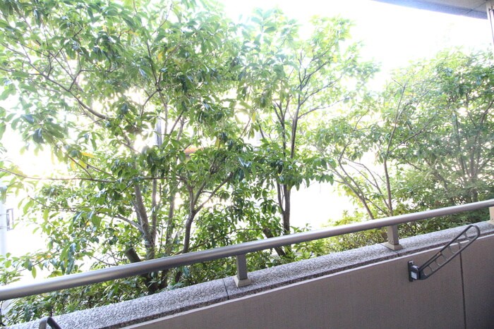 室内からの展望 エスポワ－ル御影