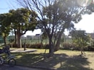 住吉公園(公園)まで160m エスポワ－ル御影