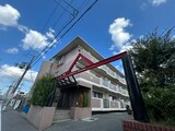 パストラルタツミ