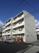 Ｌａ ｂｅａｕ ｍａｔｓａｎの外観
