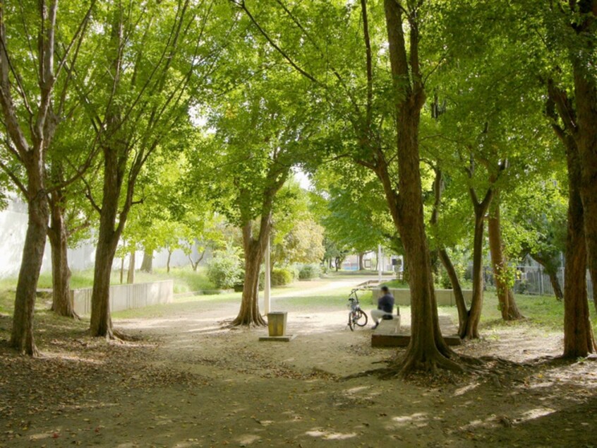 止々呂渕公園(公園)まで745m クレ－ルシャトレ－