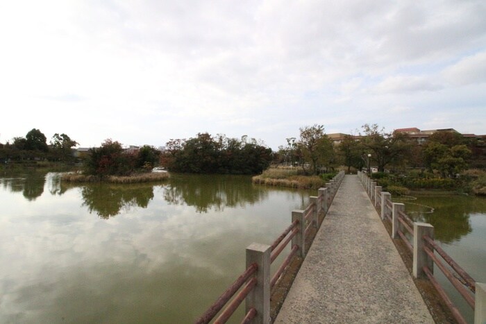 万代池公園(公園)まで600m ミラージュ帝塚山