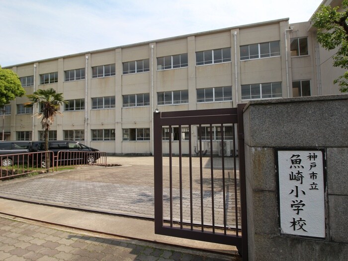 魚崎小学校(小学校)まで350m プリシ－ド魚崎