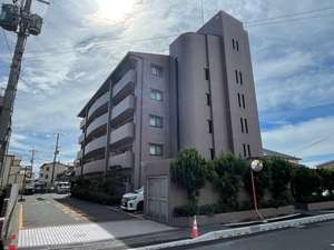 コスモス・ミソノ