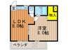 シャンテー招提 1LDKの間取り