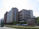 京都外国語大学(大学/短大/専門学校)まで578m サンライフシンカワＢ