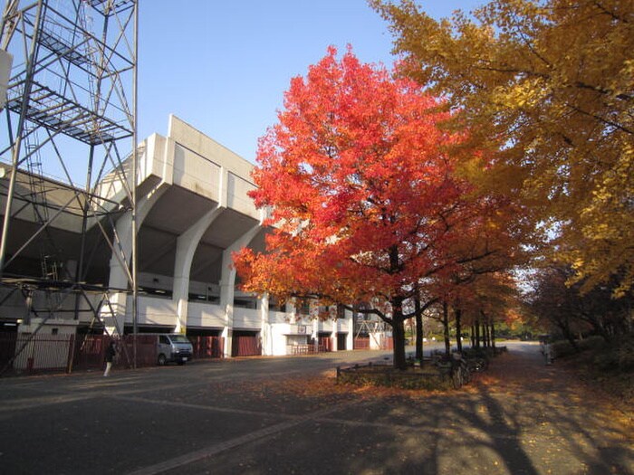 西京極運動公園(公園)まで1400m メゾン・ド・コヤマ